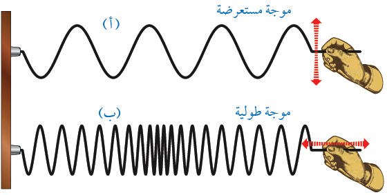 الموجات المستعرضة والموجات الطولية